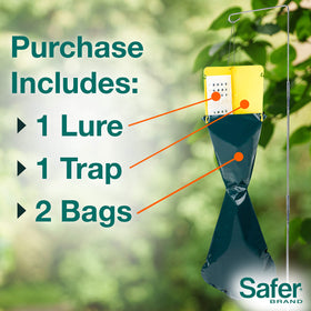 Safer collapsible stand raises trap to ideal catching height