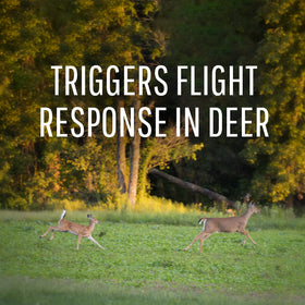 Safer Brand Deer Off stake placed in soil for season-long protection