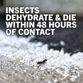 Dusting Safer Diatomaceous Earth 4 lb into cracks and crevices for roaches and ants.