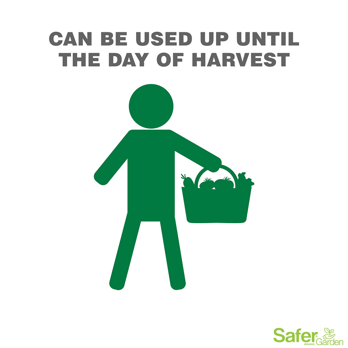 Safer Garden contact-kill demonstration against insects and mites
