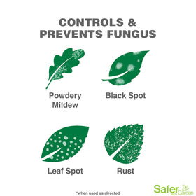 Safer Garden plant health illustration highlighting multi-action protection