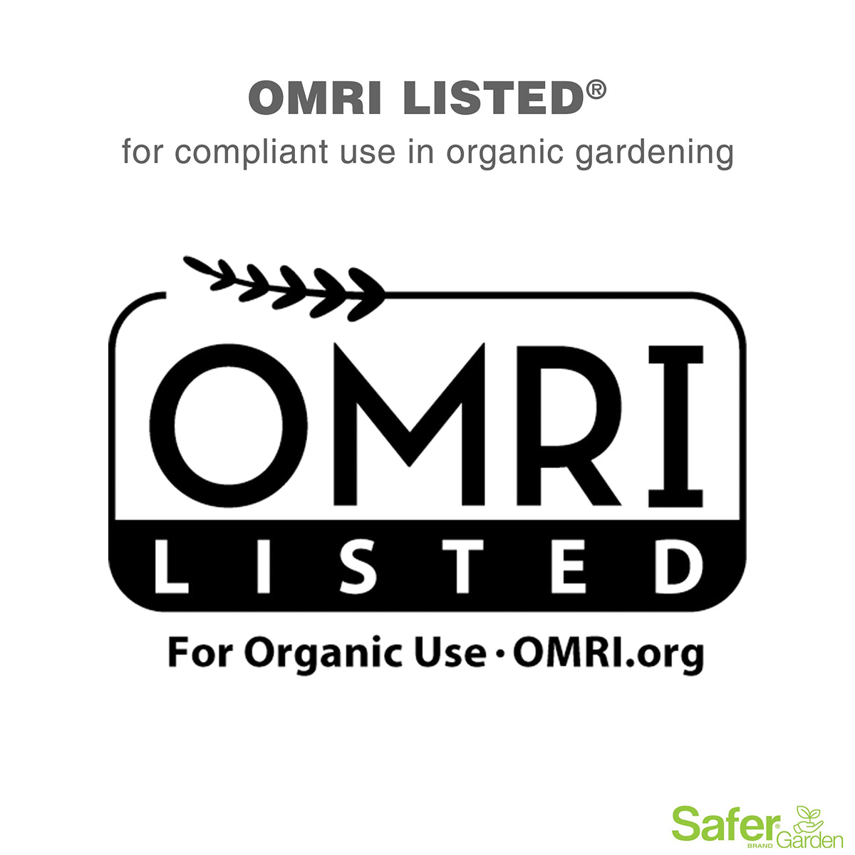 Safer Garden powdery mildew control on plant foliage