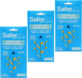 Packaging image showing 48 traps supports easy replacement and ongoing protection.