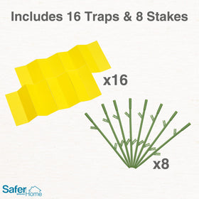 Pests drawn to yellow traps confirm visible pest activity around indoor plants.