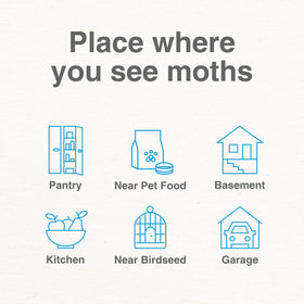 Place Safer Home Pantry Pest Trap in pantry, kitchen, or garage to monitor.