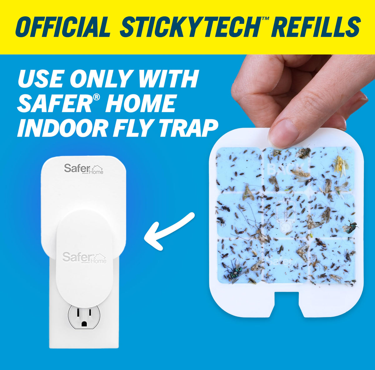 Close-up of StickyTech glue card showing strong adhesion without pesticides.