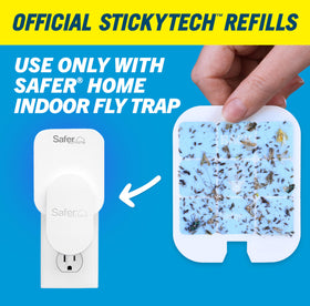 Close-up of StickyTech glue card showing strong adhesion without pesticides.