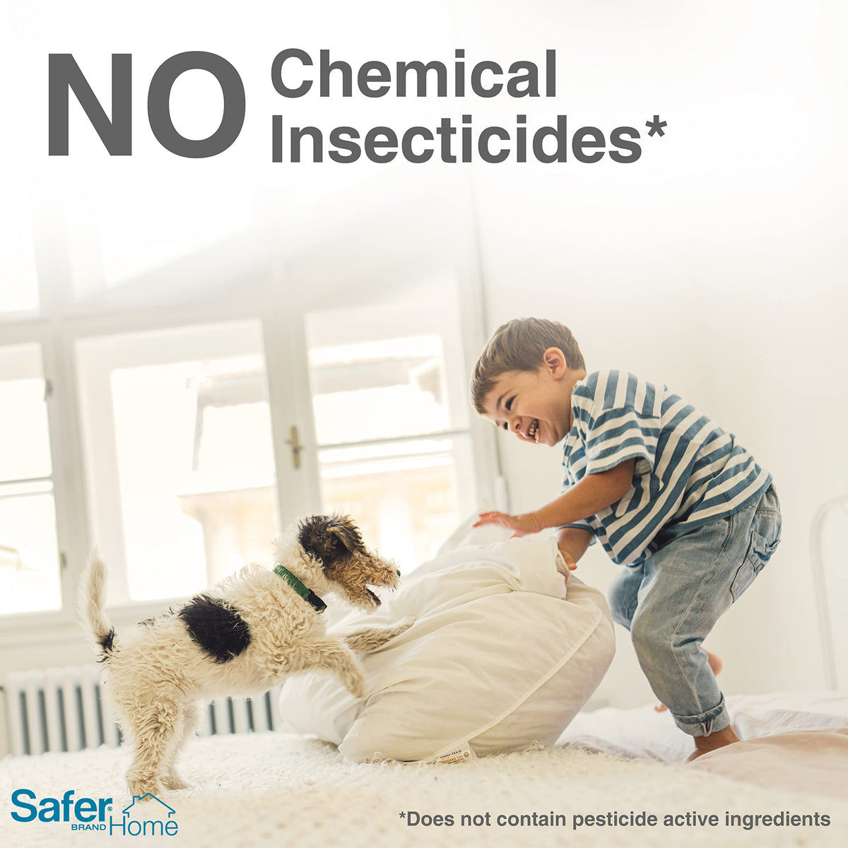 Safer SH5026 traps drawing aphids and whiteflies from leaves.