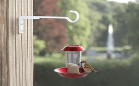 Saffruff 20 kg capacity plant hook supports diverse plant pots.