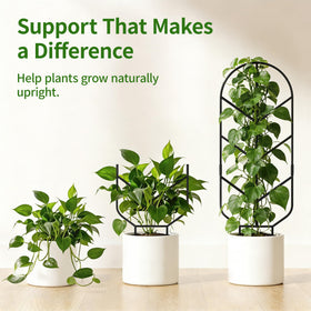 Easy-install design: Saffruff trellis anchors in soil for instant support.