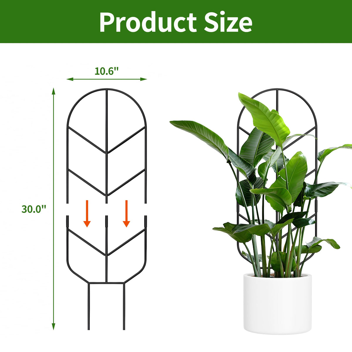 Indoor outdoor use: versatile Saffruff trellis fits patios and living spaces.