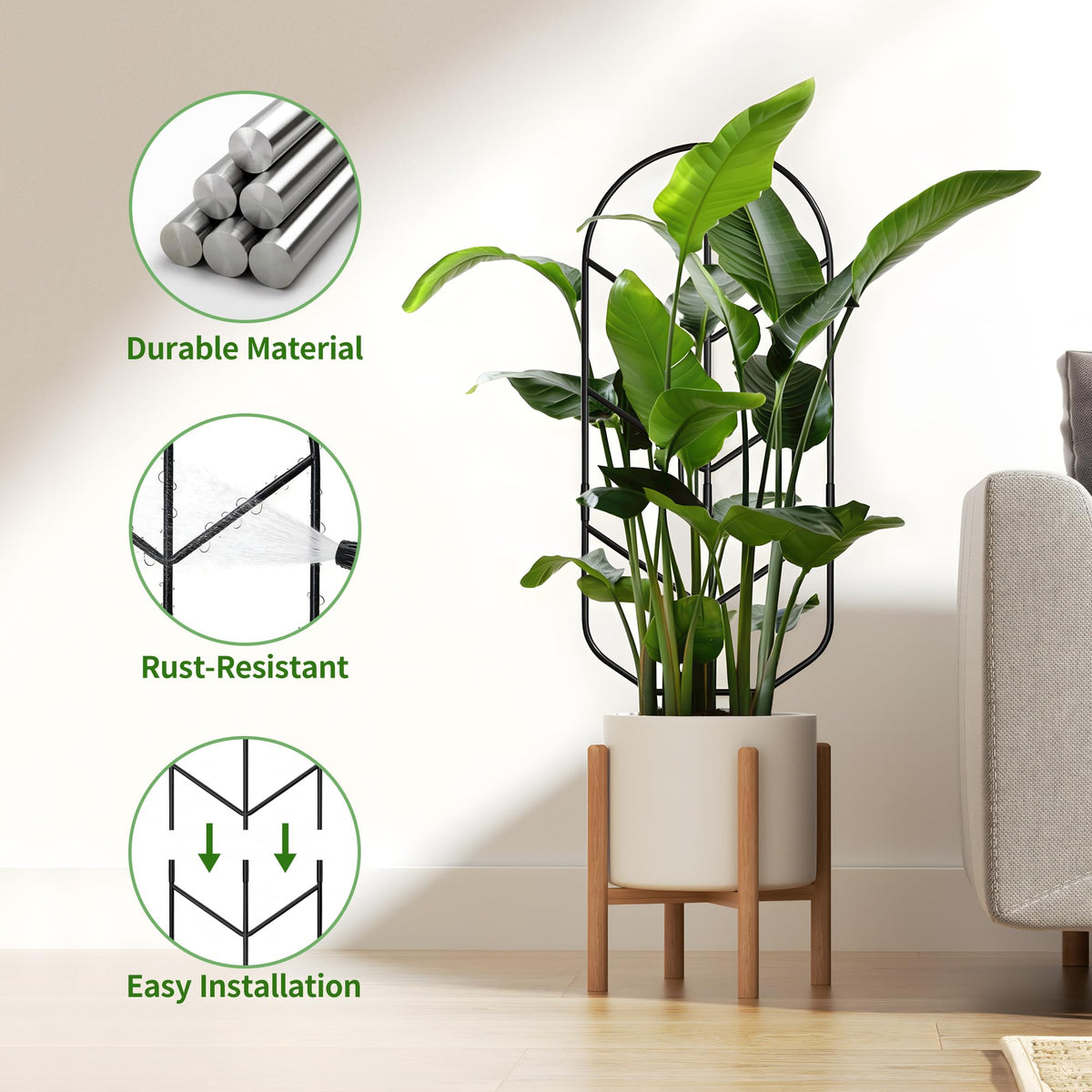Monstera climbing with Saffruff trellis, showcasing vertical growth support.