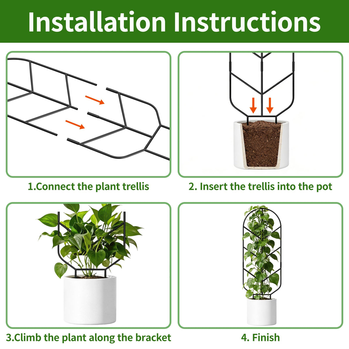 Pothos climbing with Saffruff trellis for neat vertical display.