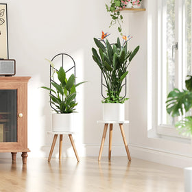 Saffruff trellis, side view highlighting durable frame and clean lines.