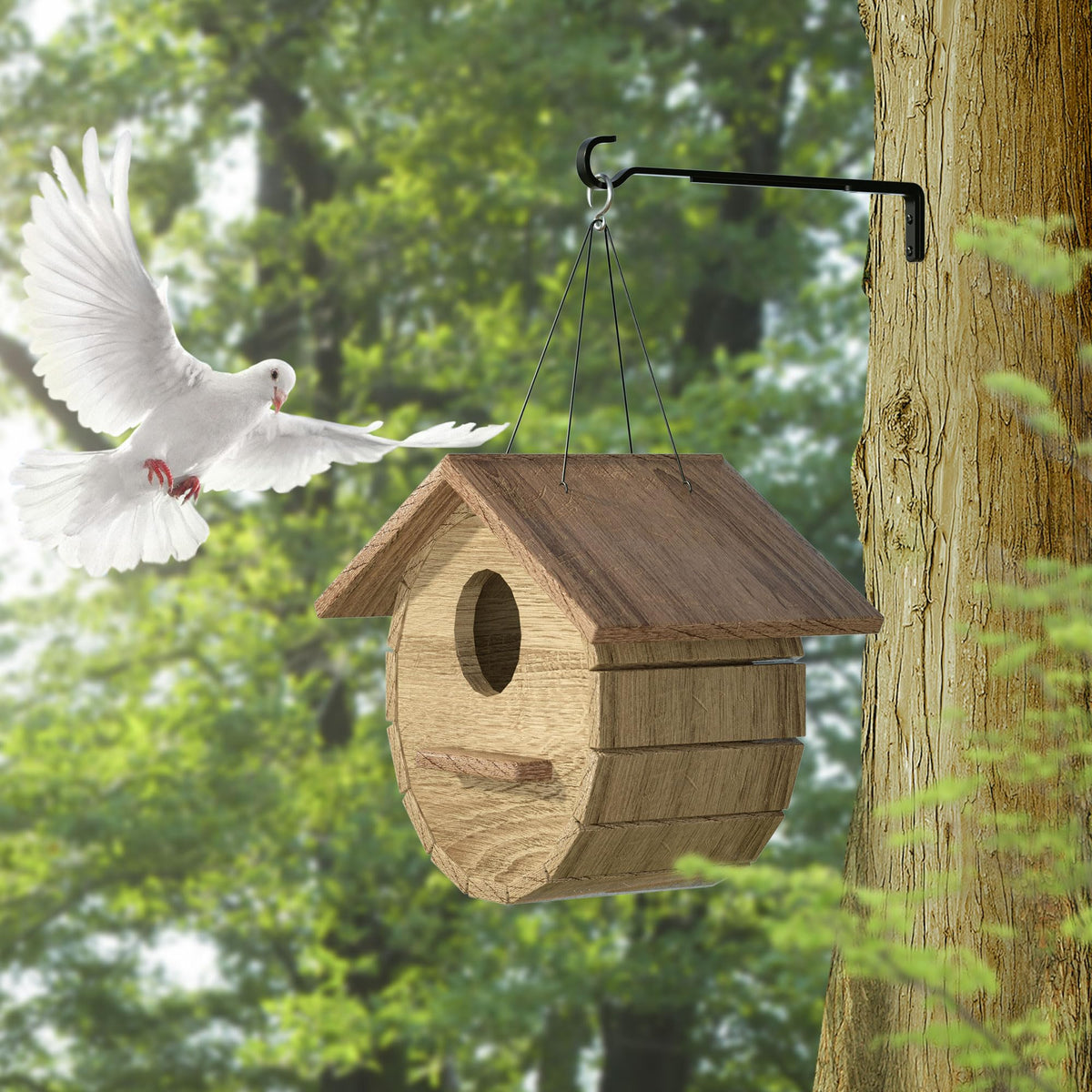 Saffruff iron plant hanger ideal for baskets bird feeders and lanterns.