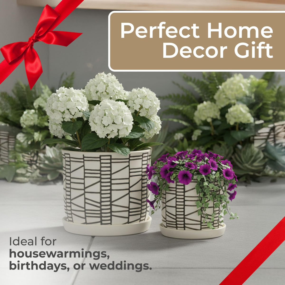 Sagebrook Home 6- and 8-inch geometric planters pair nicely.