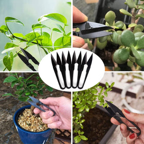 Sago Brothers stainless steel blades provide clean, reliable pruning.
