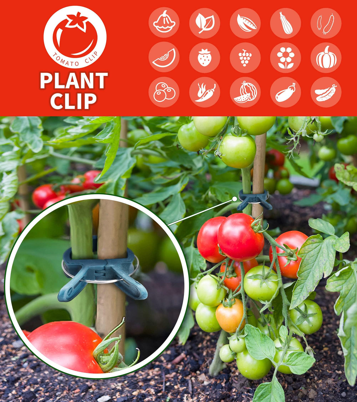 Sago Brothers trellis clips attach stems to a support, guiding vines.