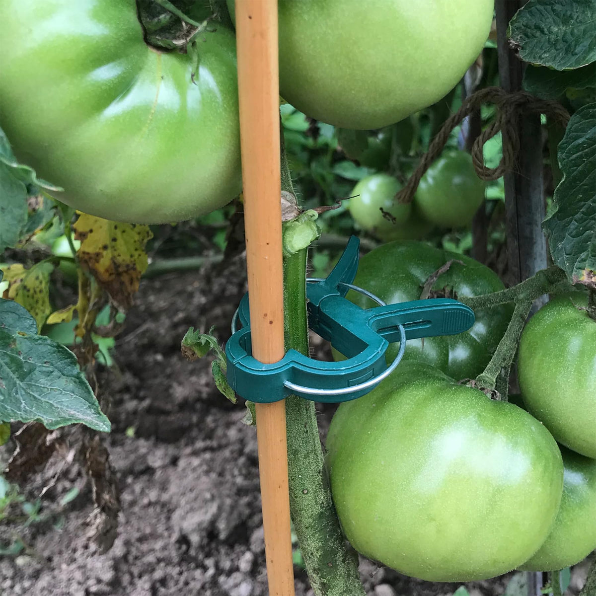 Sago Brothers zinc-plated garden clip closeup shows durability and rust resistance.