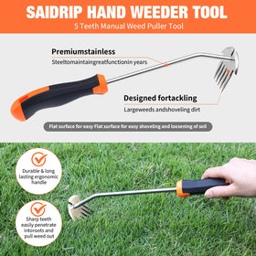 Saidrip dandelion removal with five-teeth tine tool in a yard.