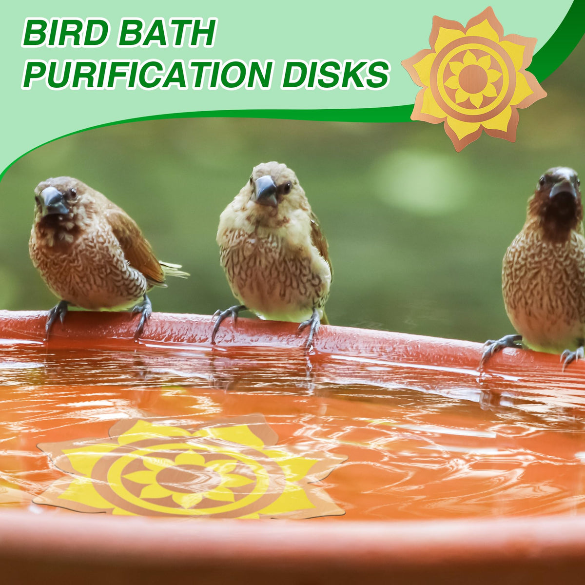 Saillong easy-clean copper disk helps reduce maintenance and extend bathing intervals.
