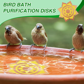 Saillong easy-clean copper disk helps reduce maintenance and extend bathing intervals.