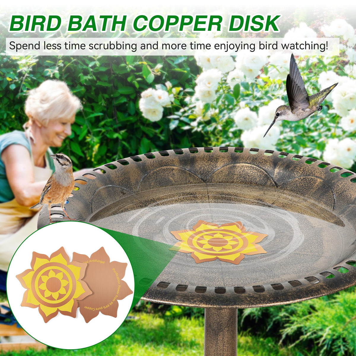 Saillong weather-resistant disk performs in all seasons without disturbing setups.