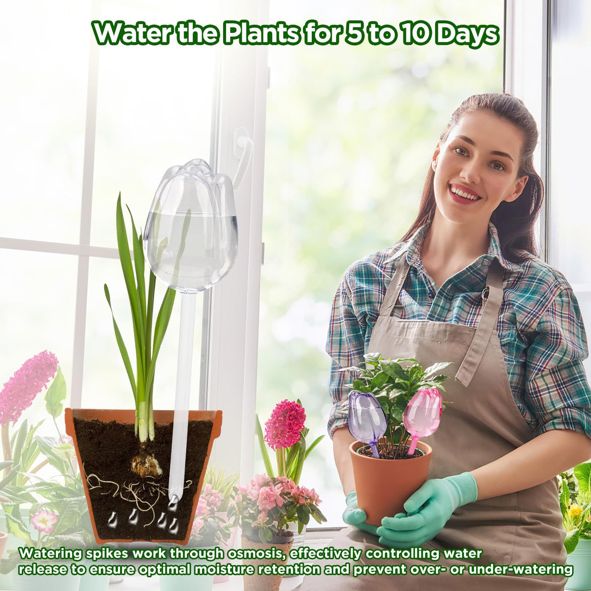 SAIRFWOO gift-ready packaging appeals to plant lovers.