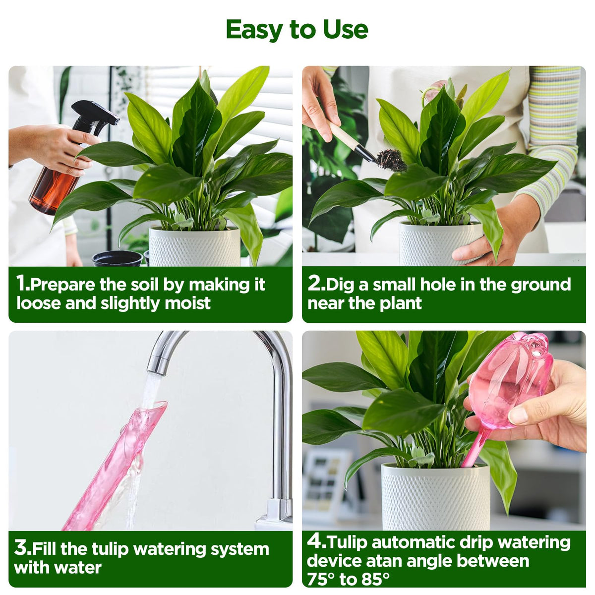 SAIRFWOO setup demonstrates indoor and outdoor versatility for various plant sizes.