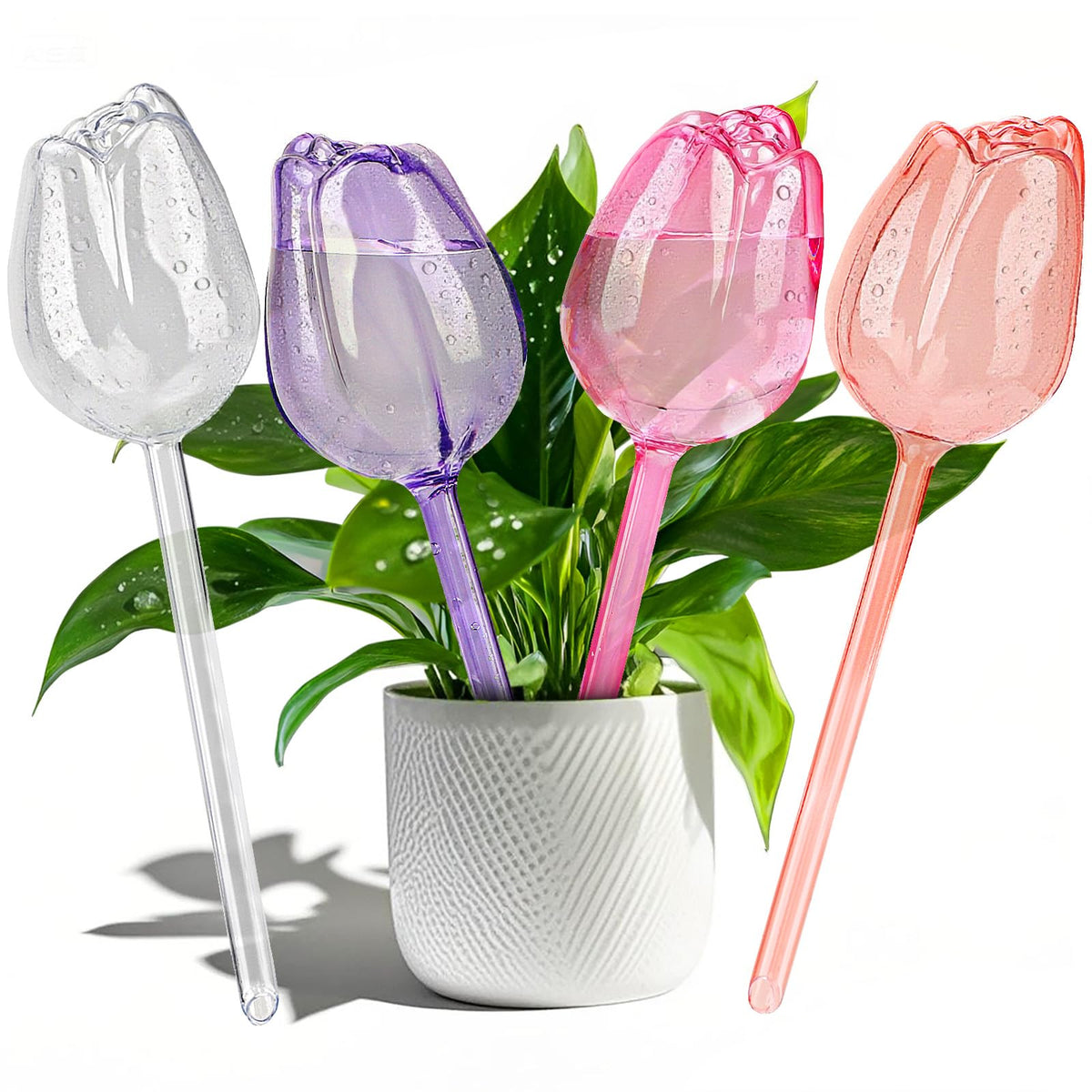 SAIRFWOO tulip self-watering globes in use provide steady moisture for indoor plants.