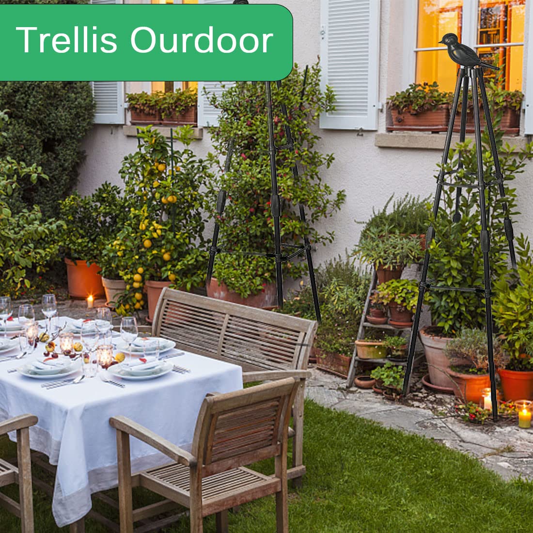 Suitable for roses, tomatoes, cucumbers, and other climbers.
