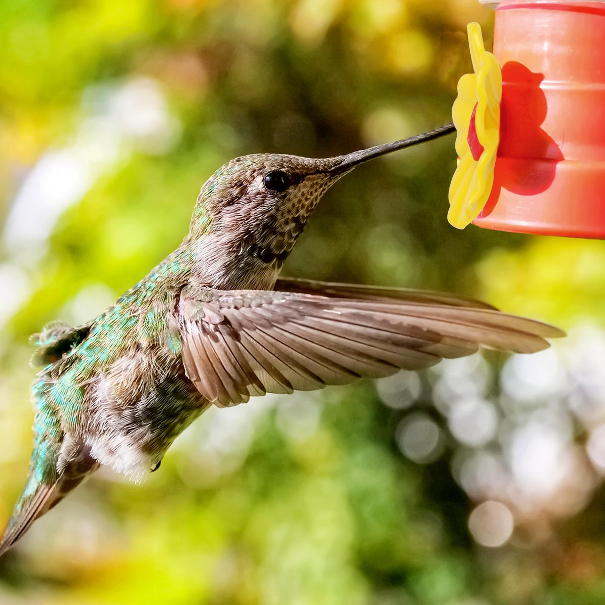 Salbsever hummingbird feeder ports and brushes aid quick cleaning
