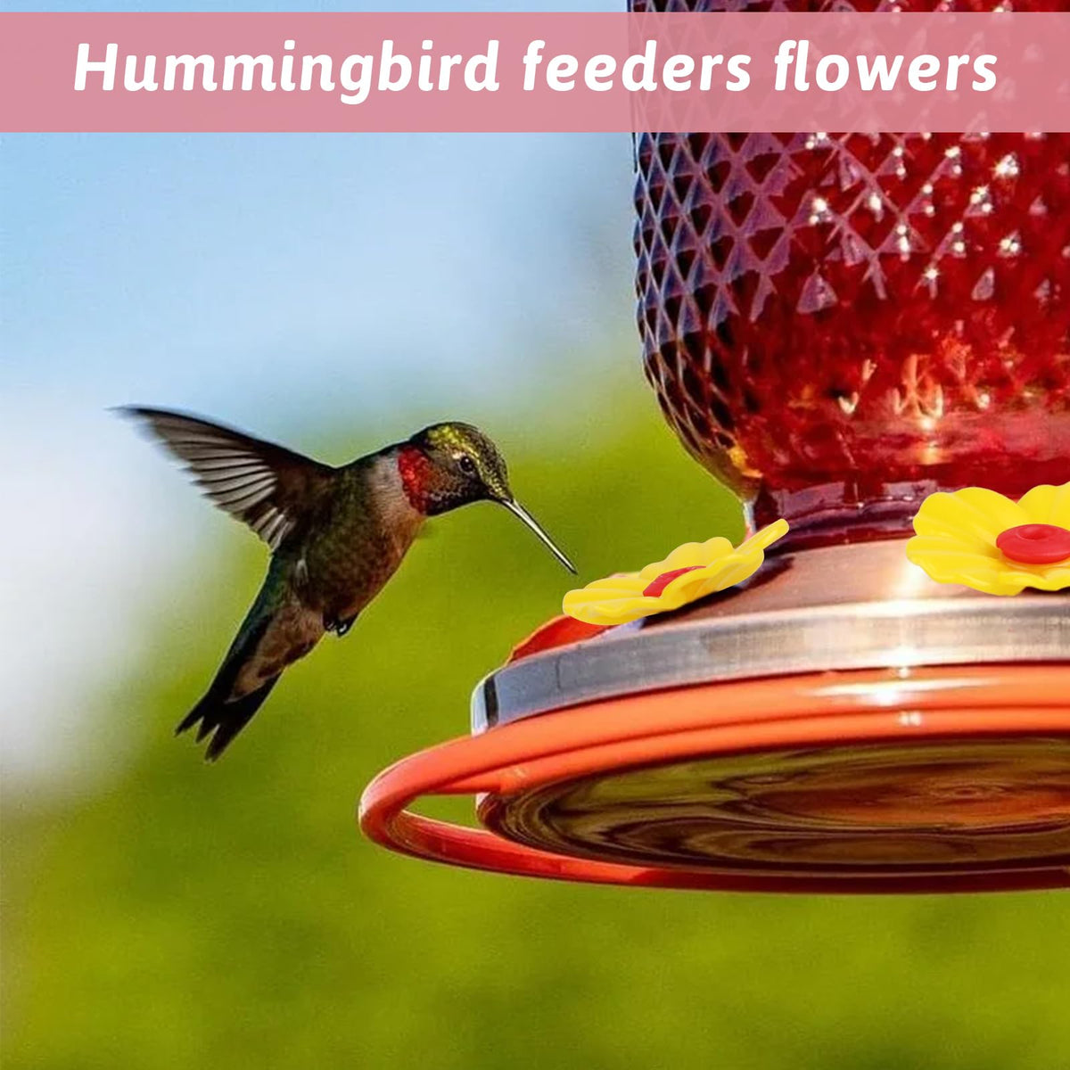 Salbsever replacement parts enable easy outdoor maintenance and hummingbird visits