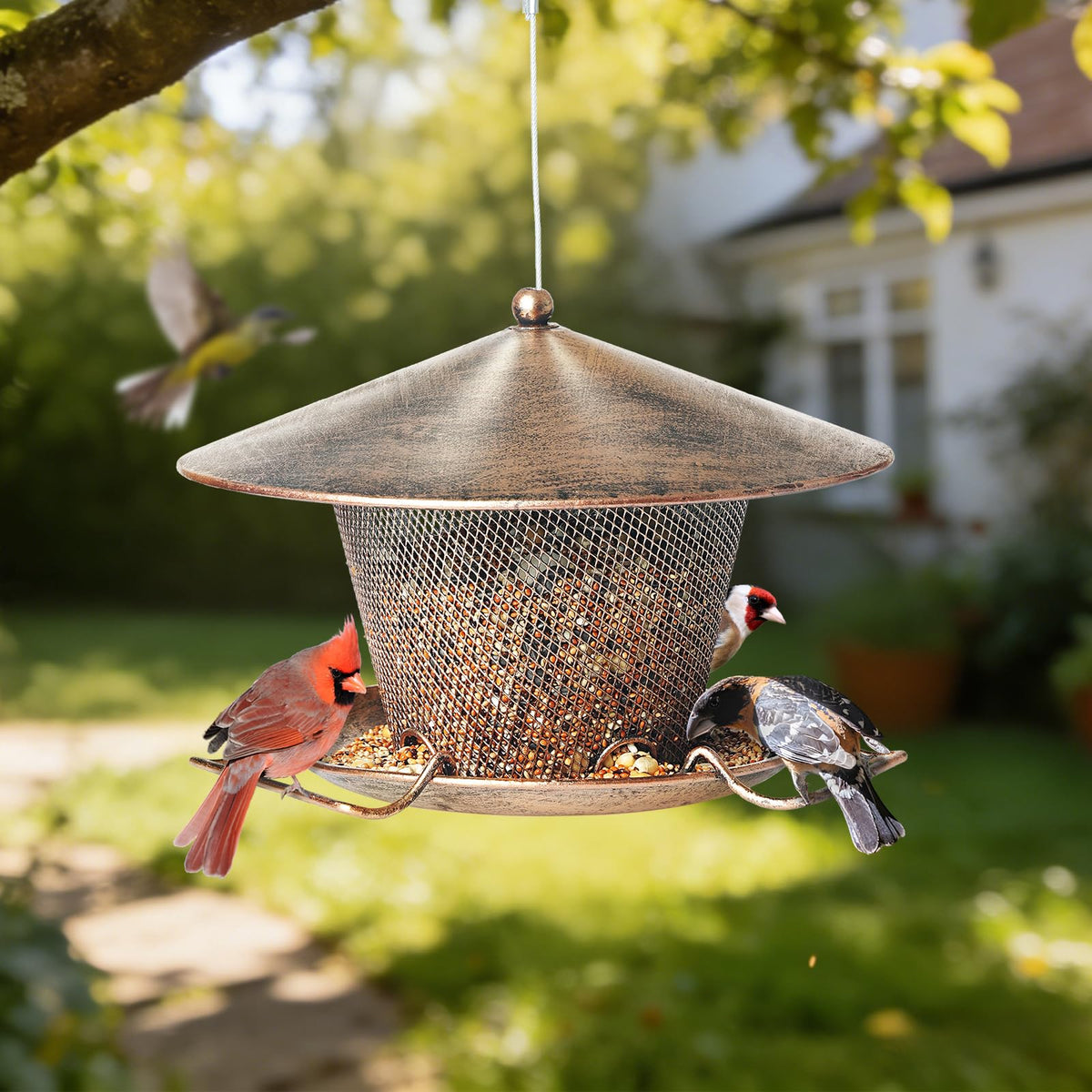Samhe feeder attracts cardinals, finches, chickadees, and more to your yard.