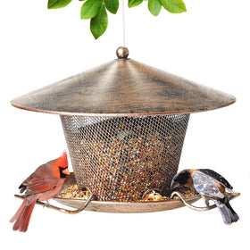 Samhe Bird Feeder, outdoor hanging setup inviting frequent bird visits.