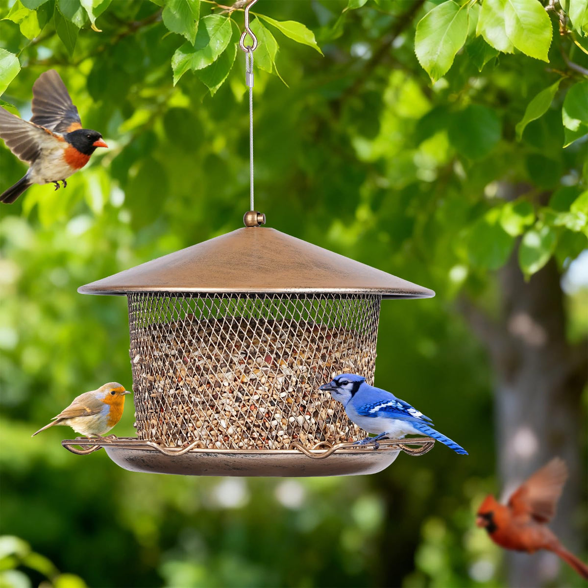 Samhe feeder offers a wide feeding area for several birds at once.