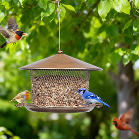 Samhe feeder offers a wide feeding area for several birds at once.