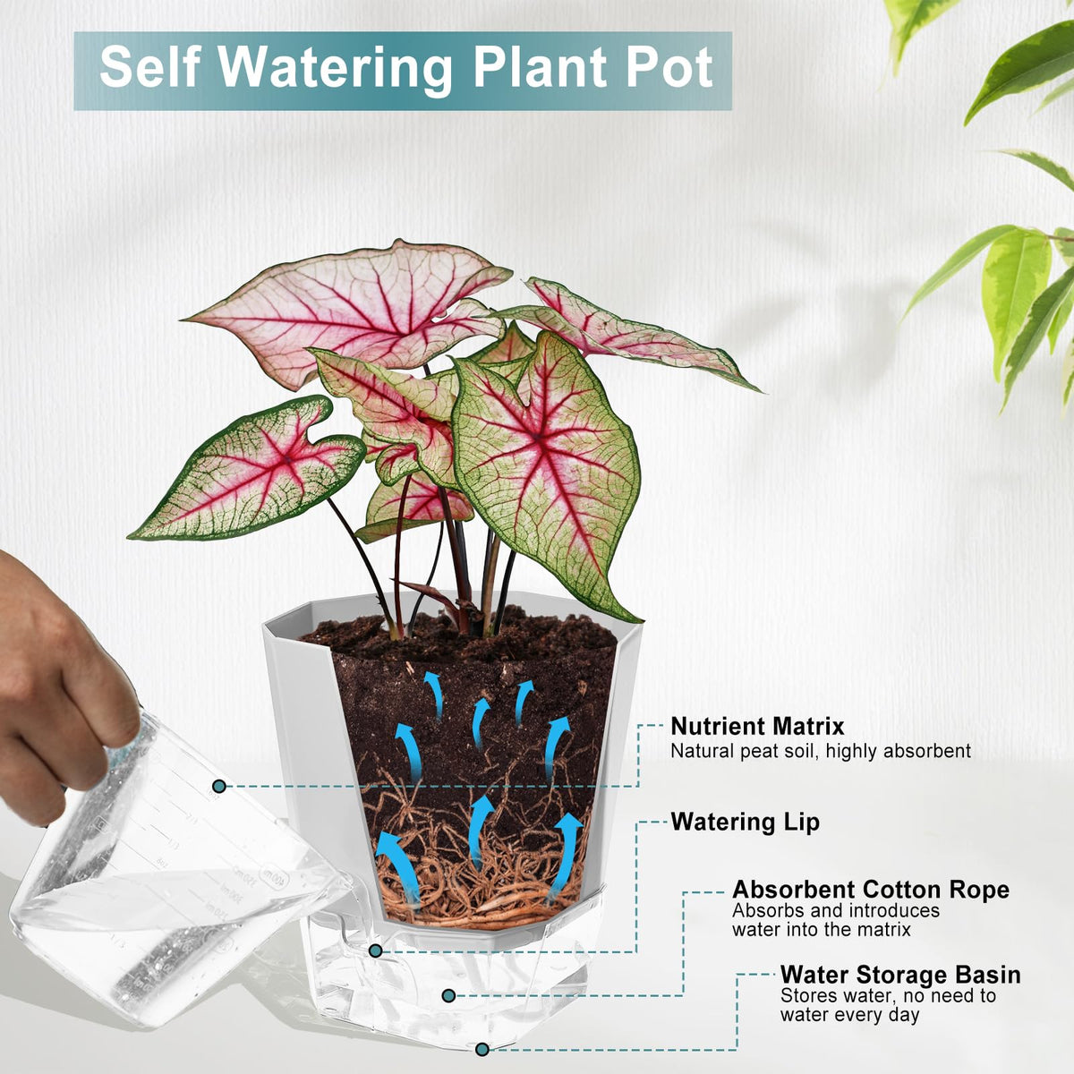 Transparent reservoir shows water level at a glance to simplify refilling.