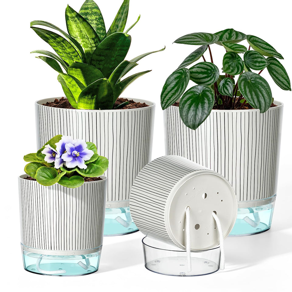 Samhe self-watering pot 4-inch top view with visible reservoir for easy water monitoring