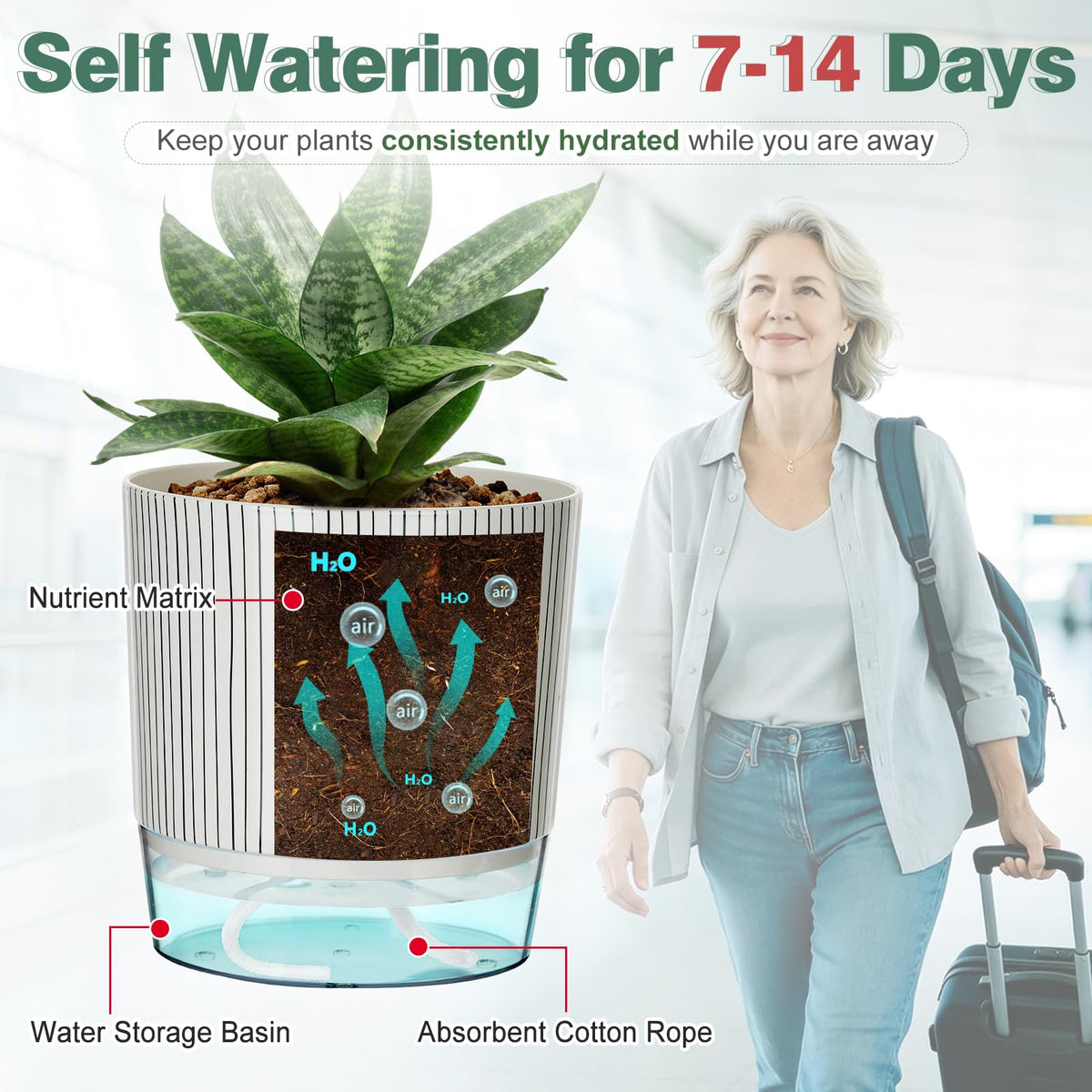 Samhe self-watering pot 5.5-inch top view with reservoir and wick in frame