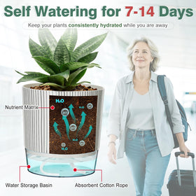 Samhe self-watering pot 5.5-inch top view with reservoir and wick in frame