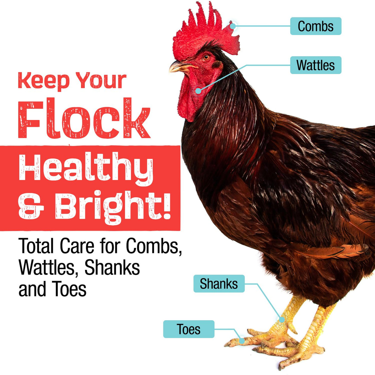 Samorillo Flock Shield spray top for easy coop misting.
