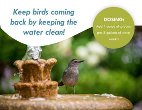 Sanco Bird Bath balanced ecosystem benefits from natural bacteria boost.