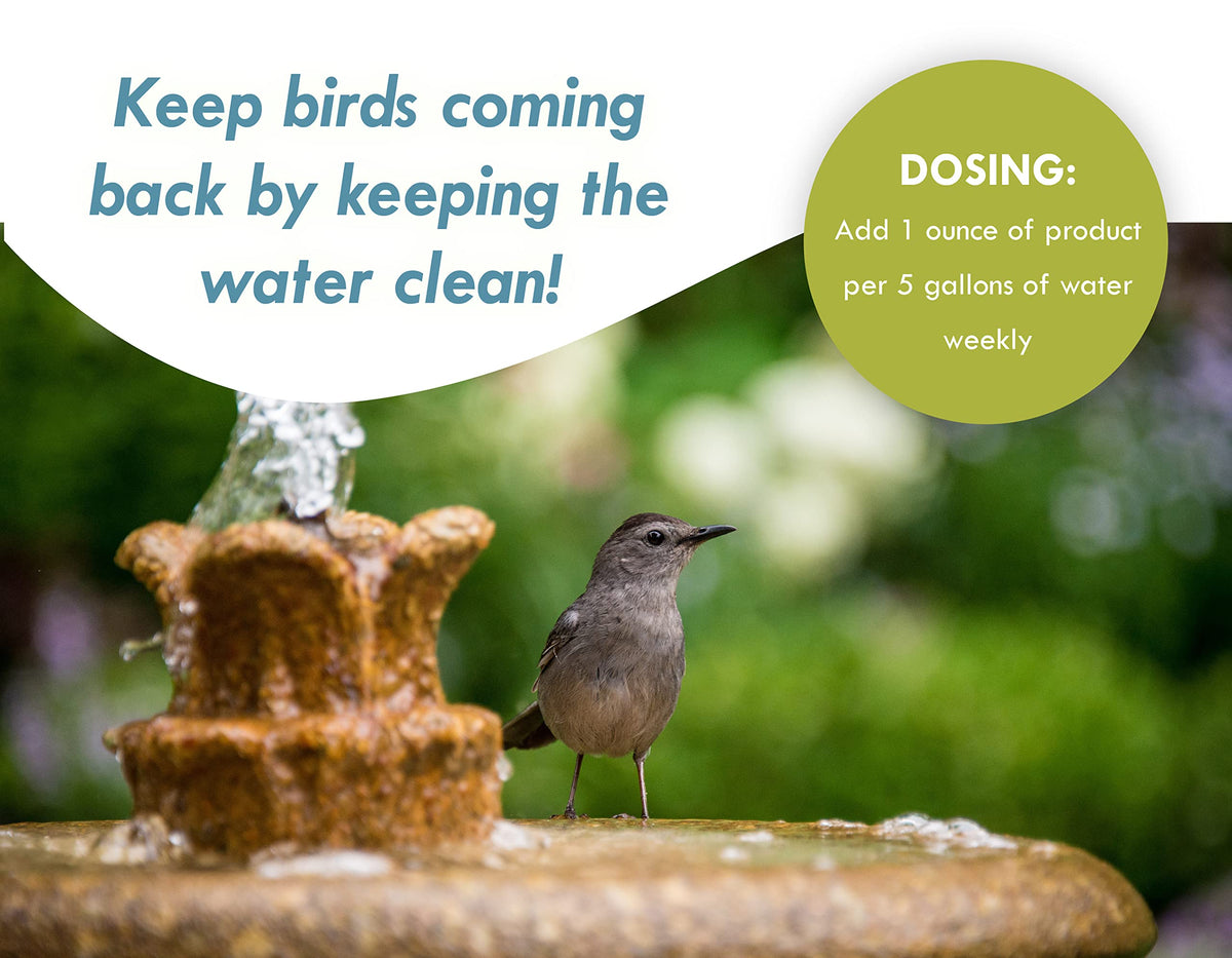 Sanco Bird Bath pump protection supports longer life of pumps