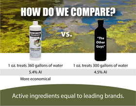 Sanco Bloom Buster is formulated to be fish-safe when used as directed