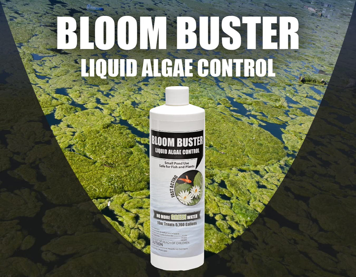 Sanco Bloom Buster can be used with pond clarifiers for clearer water