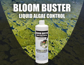 Sanco Bloom Buster can be used with pond clarifiers for clearer water