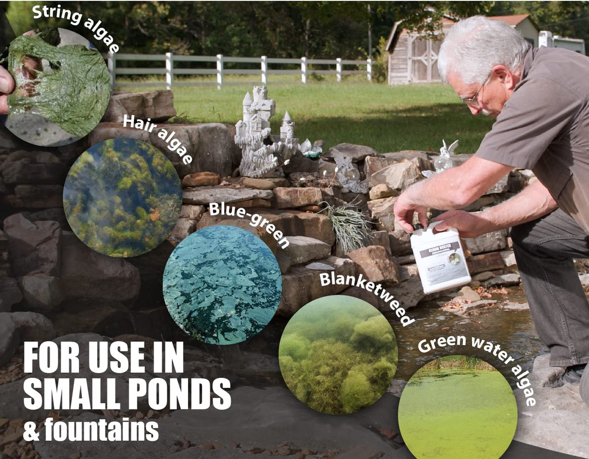 Sanco Bloom Buster poured into pond water to start fast algae reduction