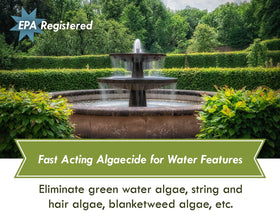 Sanco Fountain Algaecide clears green water for clear pond views.