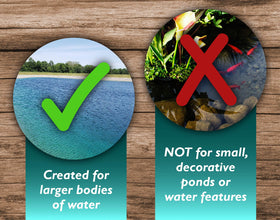 Sanco safe pond dye is safe for people and pets when used as directed